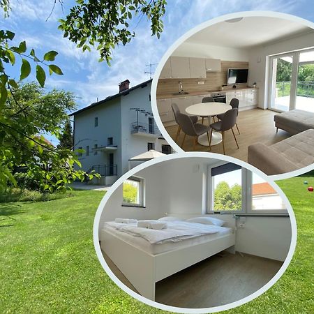 Vila Ada - 4 Cosy Apartments Любляна Екстер'єр фото