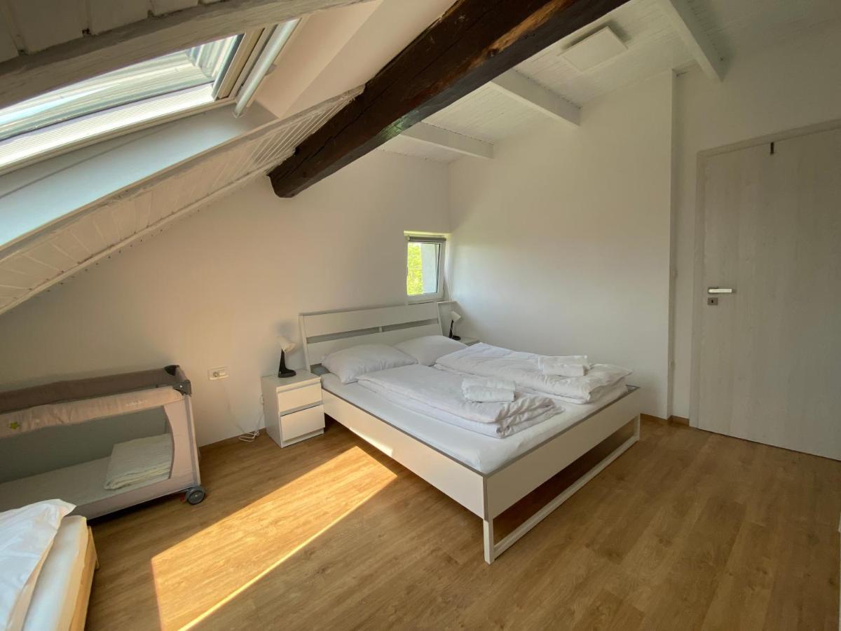 Vila Ada - 4 Cosy Apartments Любляна Екстер'єр фото