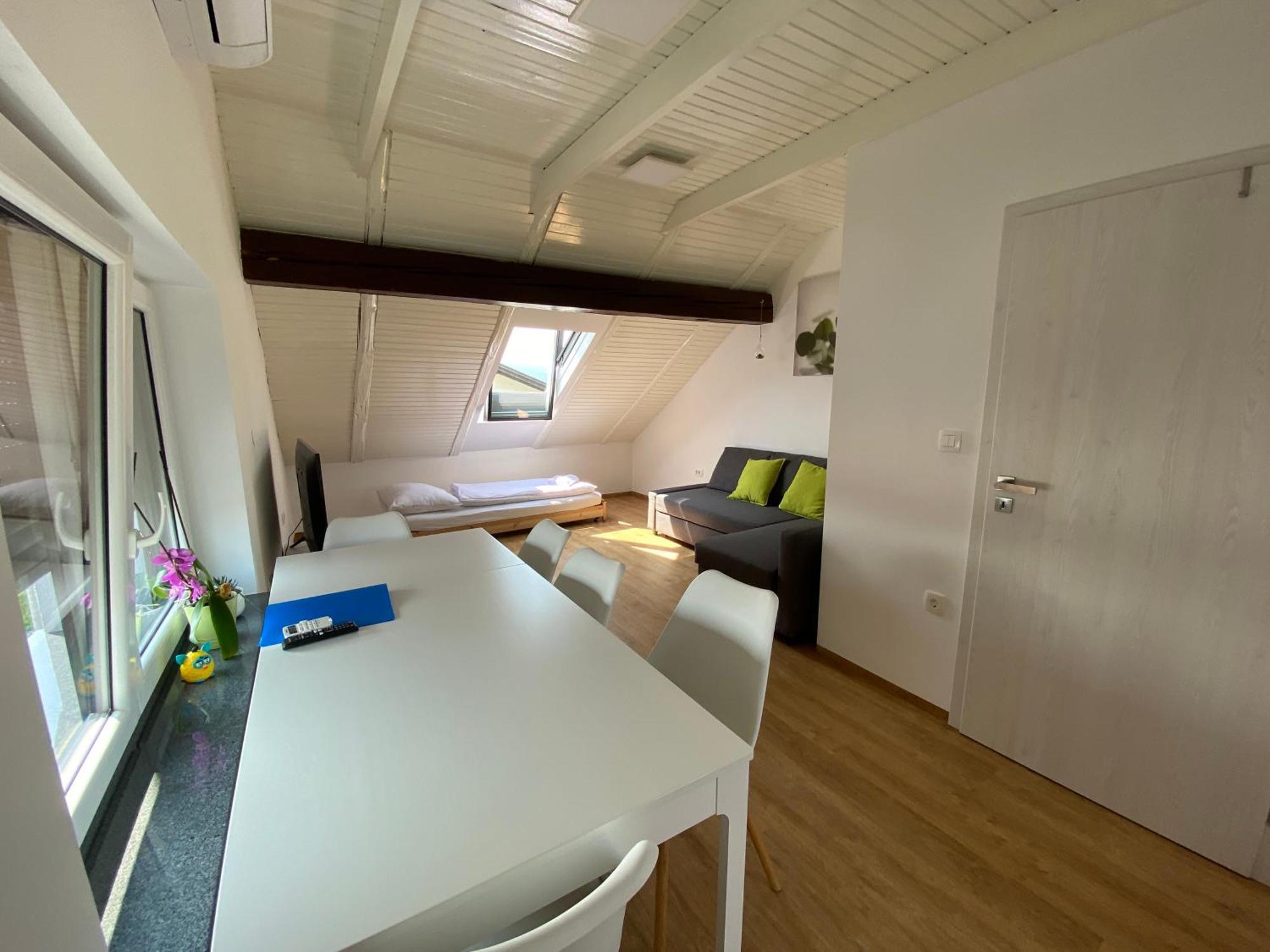 Vila Ada - 4 Cosy Apartments Любляна Номер фото